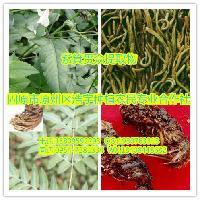 陜西大田生物 專注高品質(zhì)秋水仙堿提取物，廠家直銷，全國(guó)包郵